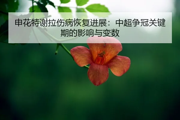 shen-hua-te-xie-la-shang-bing-hui-fu-jin-zhan-zhong-chao-zheng-guan-guan-jian-qi-de-ying-xiang-yu-bian-shu-2-390.jpg