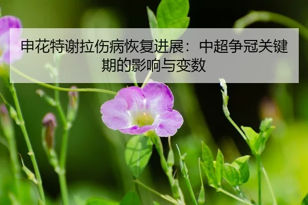 shen-hua-te-xie-la-shang-bing-hui-fu-jin-zhan-zhong-chao-zheng-guan-guan-jian-qi-de-ying-xiang-yu-bian-shu-3-308.jpg