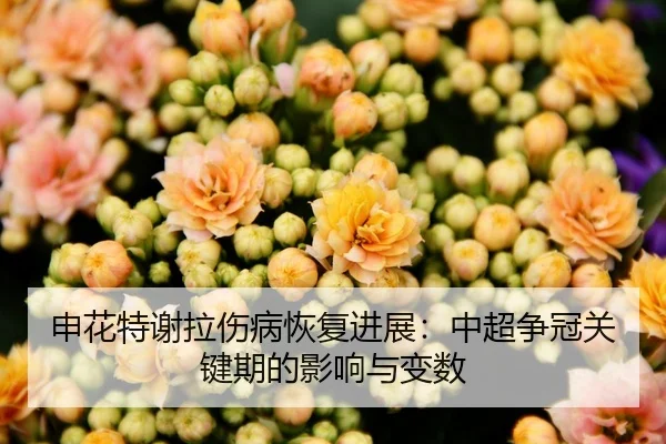 申花特谢拉伤病恢复进展：中超争冠关键期的影响与变数