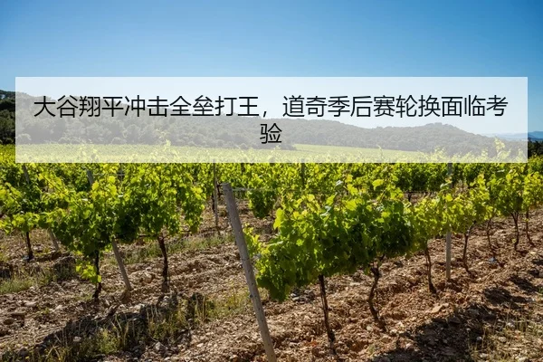 大谷翔平冲击全垒打王，道奇季后赛轮换面临考验