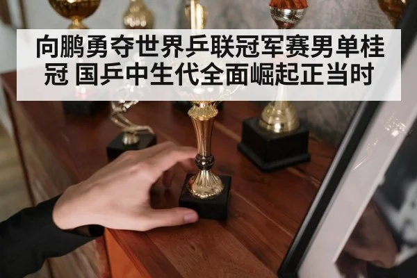 向鹏勇夺世界乒联冠军赛男单桂冠 国乒中生代全面崛起正当时